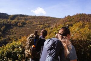 participants of a hiking challenge walking through nature with backpacks